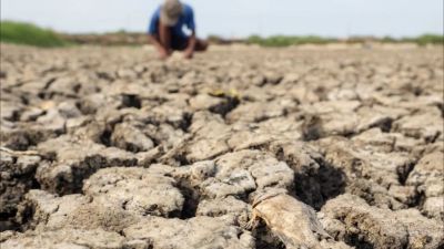 Chance de El Niño muito forte a partir de setembro sobe para 97%, diz agência dos EUA