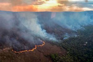 Incêndio queima 10 mil hectares do Parque da Chapada dos Veadeiros