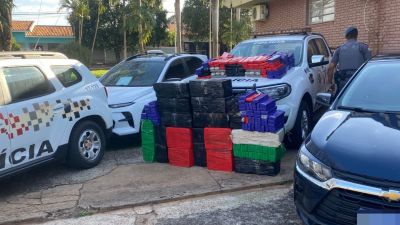 PM de SP apreende 500 kg de maconha em veículo