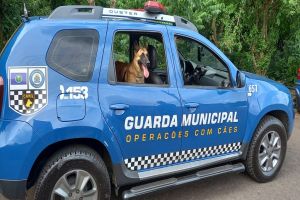 GM e cachorra K9 Índia localizam drogas no bairro Romeu Santini