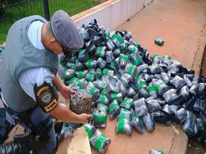 Caminhoneiro tenta esconder 360 kg de maconha em fundo falso, mas é preso no interior de SP