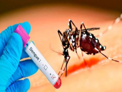 2.164 casos positivos de Dengue são registrados em São Carlos
