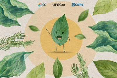 UFSCar lança série no Instagram sobre plantas daninhas e soluções sustentáveis