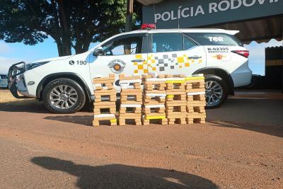 PM Rodoviária prende homem com 119 Kg de maconha em Santa Cruz do Rio Pardo