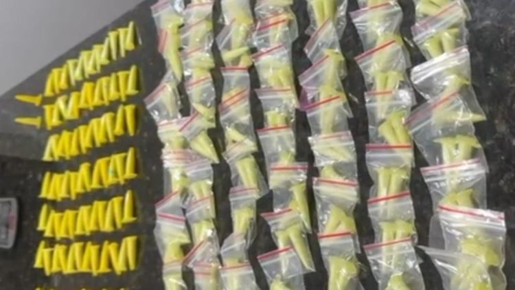 Suspeitos fogem ao ver viatura e deixam droga escondida em árvore em São Carlos