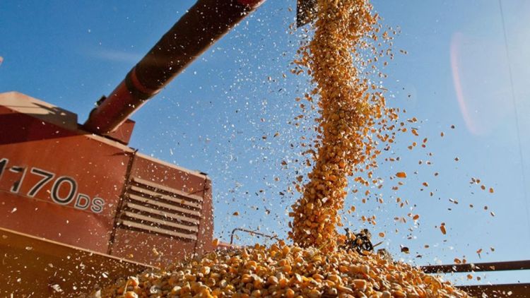 Tendência de seca nas regiões centrais pode impactar 2ª safra de milho