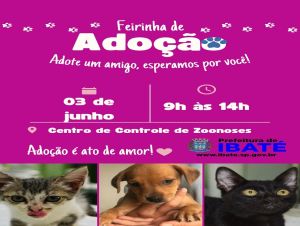 IBATÉ| Centro de Zoonoses promove feira de adoção neste sábado, 03 de junho