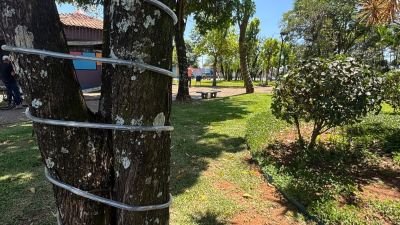 Prefeitura inicia preparativos para o Encantos de Natal 2026 em Ibaté