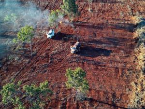 Autoridades identificam pontos de desmate e mineração irregular em áreas nativas do Cerrado, em Cavalcante Foto: Prefeitura de Cavalcante