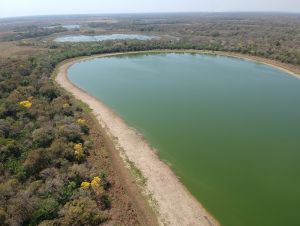 Pesquisas avaliam lagoas que ficam em locais remotos no Pantanal brasileiro