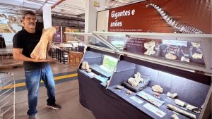 Museu da Ciência de São Carlos recebe novos fósseis e amplia exposição de paleontologia