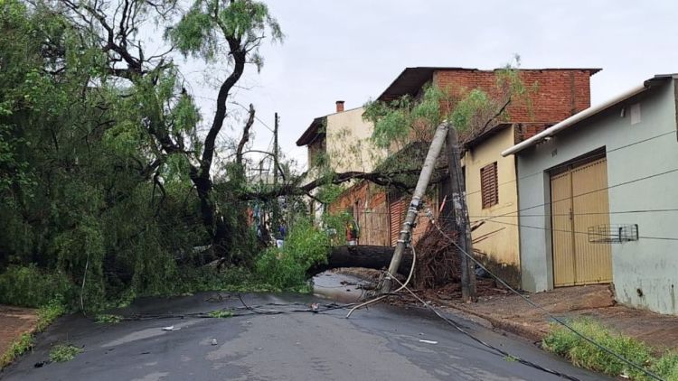 Rajadas de vento de 75 km/h causam estragos e mobilizam equipes em São Carlos