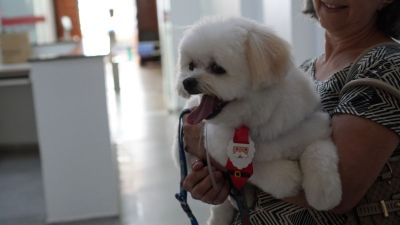 Paciente internado há longo período recebe visita de animal de estimação na Santa Casa