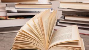 Consciência Negra: conheça 12 autores negros da literatura brasileira