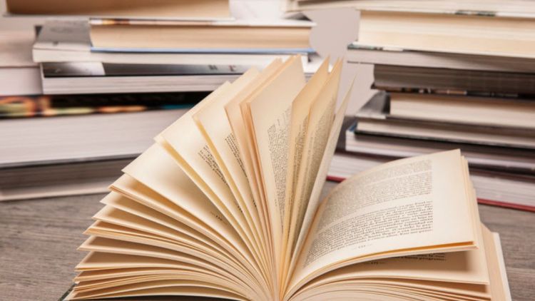 Consciência Negra: conheça 12 autores negros da literatura brasileira