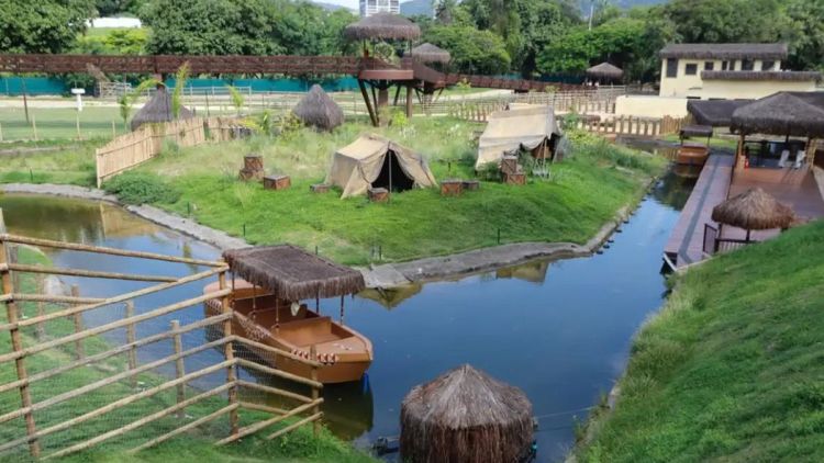 Galinhas d&#039;angola do Bioparque no Rio morreram de gripe aviária