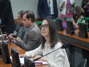 Rosangela Moro sugere reserva de orçamento para raros e PcDs em MP de incentivo à compra de veículos sustentáveis