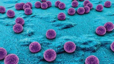 USP São Carlos e Texas A&amp;M University desenvolvem método para prever evolução da resistência bacteriana a antibióticos