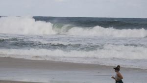 Consciência ambiental cresce em áreas com projetos de longa duração