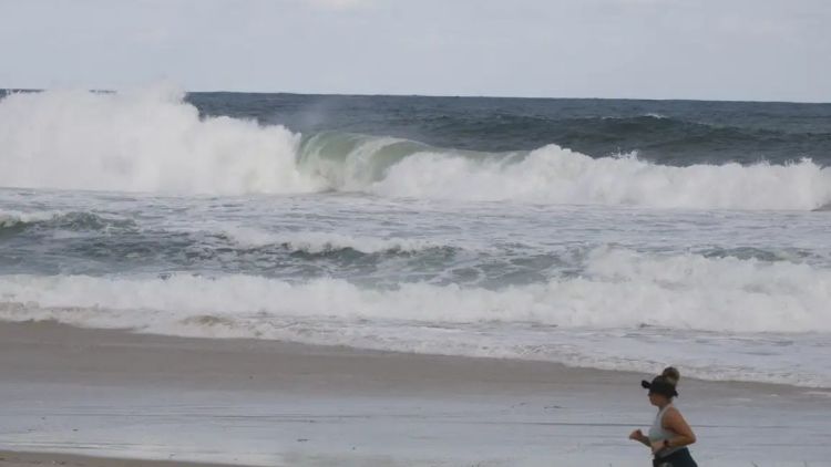 Consciência ambiental cresce em áreas com projetos de longa duração