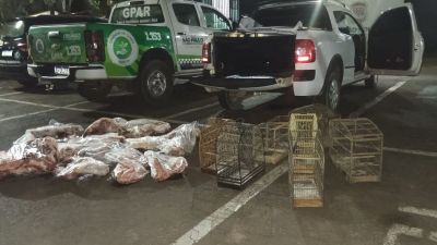Pássaros silvestres e carne de javali são apreendidos em ação da Guarda Municipal em São Carlos