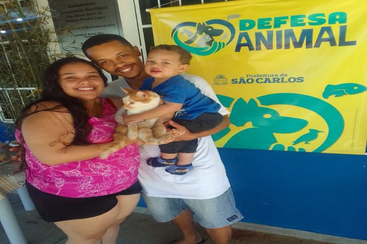 Canil e Gatil Municipal: 291 animais já foram adotados em 2024