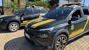 Avanço na segurança: Guarda Municipal de Ibaté divulga balanço das ações realizadas em 2025