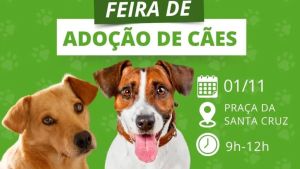 Pets resgatados das rodovias ganham nova chance de adoção em São Pedro