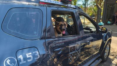 Guarda Municipal apreende grande quantidade de drogas no Jardim Hikare em São Carlos