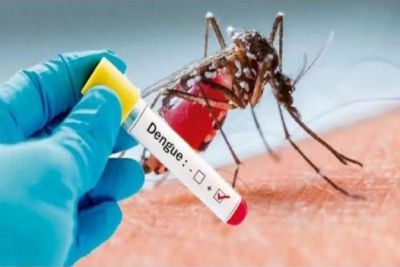 São Carlos chega a 1.384 casos positivos de dengue em 2024