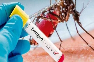 Em 2025, São Carlos registra 33 casos de Dengue