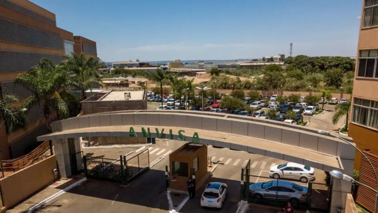 Anvisa proíbe venda de produtos de cannabis e cogumelos