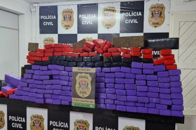 Polícia Civil localiza carro com mais de 200 kg de maconha