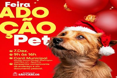 Canil Municipal vai realizar em 7 de dezembro a última feira do ano para adoção de pets