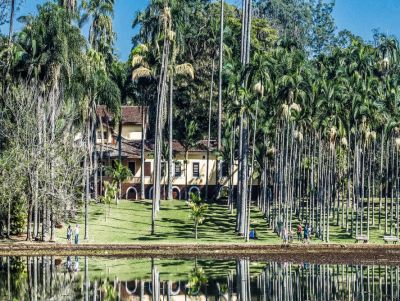 Após casos de febre maculosa em Campinas, Feena suspende visitação no Jardim das Palmeiras