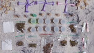 Denúncia leva Guarda Municipal a encontrar entorpecentes escondidos em área do CDHU