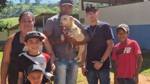 Feira de adoção garante novos lares para 13 animais em São Carlos