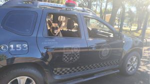 Operação da Guarda Municipal no Bairro Santa Angelina Resulta em Apreensão de Drogas