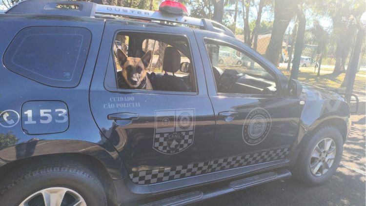 Operação da Guarda Municipal no Bairro Santa Angelina Resulta em Apreensão de Drogas