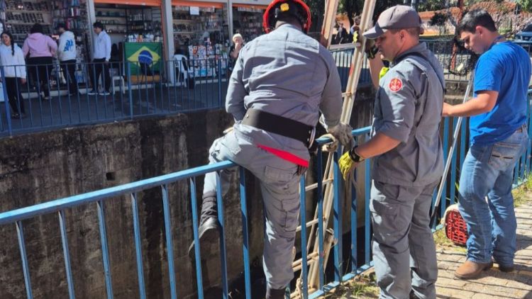 Felino é resgatado no córrego do Gregório em ação conjunta entre Defesa Animal e Corpo de Bombeiros