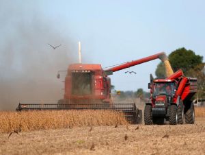 Argentina quer desarmar bomba-relógio econômica com aumento da exportação de soja