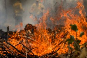 Quase 1/4 do território brasileiro pegou fogo nos últimos 40 anos