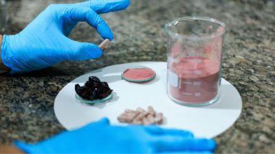 Empresa-filha da Unicamp amplia aplicação de casca de jabuticaba para saúde intestinal