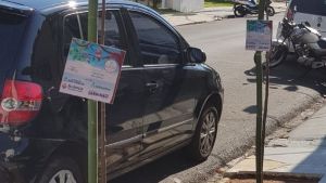 São Carlos promove audiências públicas para discutir Plano Municipal de Arborização Urbana