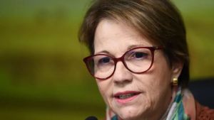 Está muito cedo para falar sobre possível candidatura a vice-presidente, diz Tereza Cristina