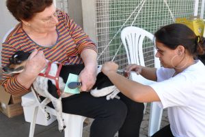 Posto permanente de para vacinação de cães e gatos será inaugurado