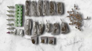 Ação preventiva da GM resulta em apreensão de drogas no Jardim Icaraí