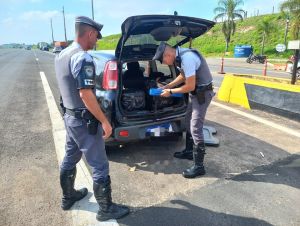 PM Rodoviária prende homem com mais de 103 tijolos de maconha