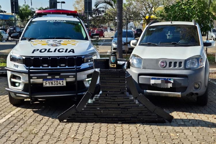 Polícia prende motorista com quase 160 kg de maconha no interior de São Paulo