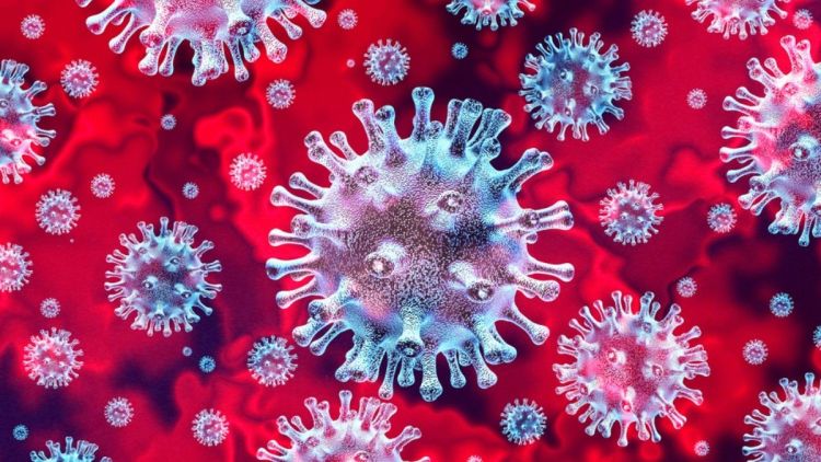 Novo teste usa nanoleveduras para detectar COVID-19 de forma mais rápida, barata e precisa